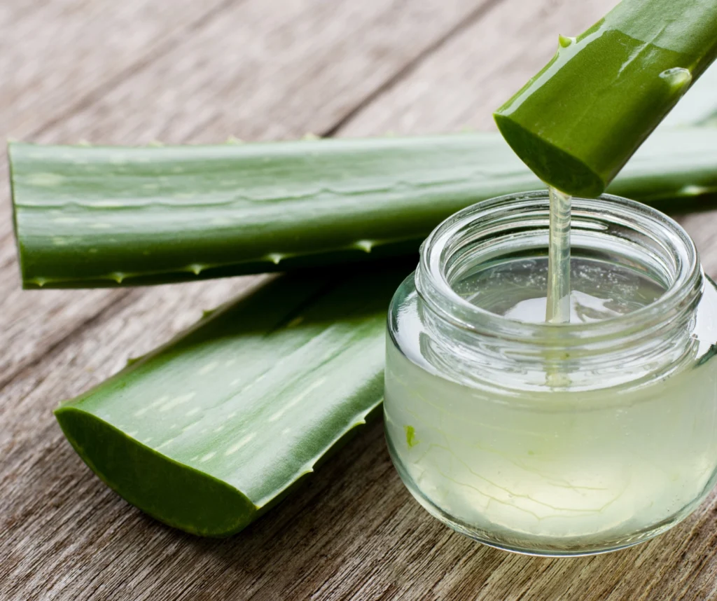 ALOE BARBADENSIS (ALOE VERA) LEAF JUICE POWDER
