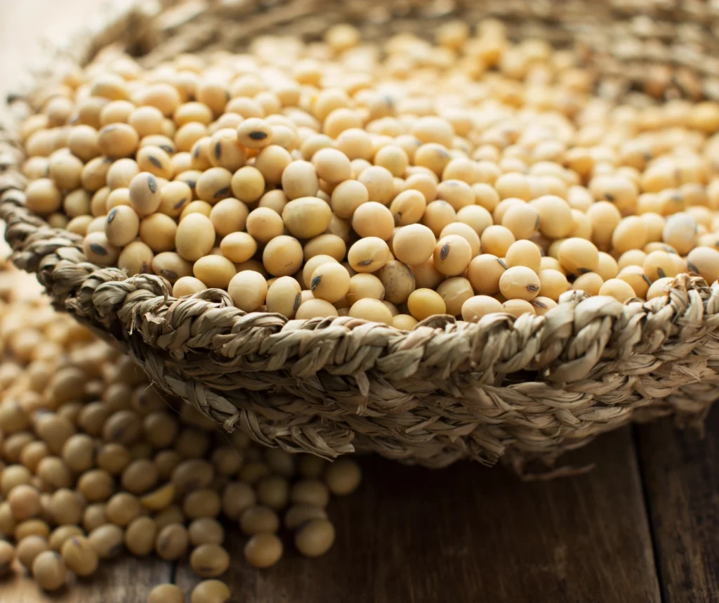 GLYCINE SOJA (SOYBEAN) OIL