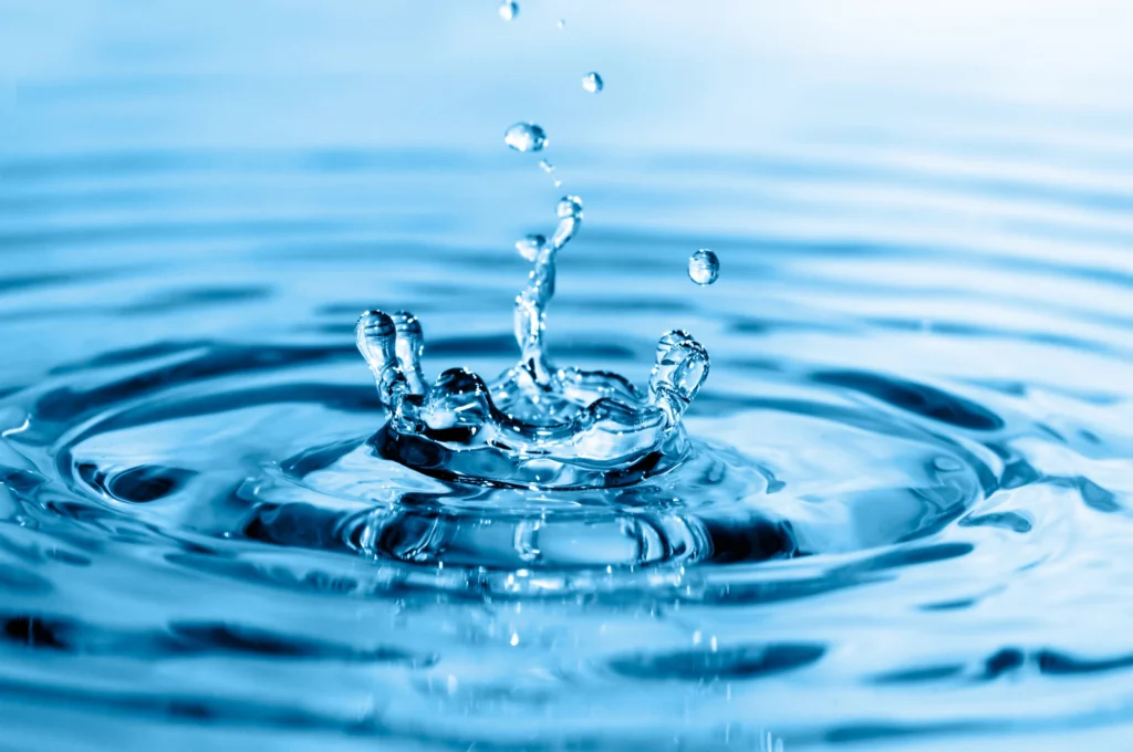 AQUA (WATER)