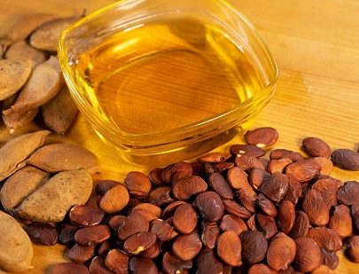PONGAMIA GLABRA SEED OIL