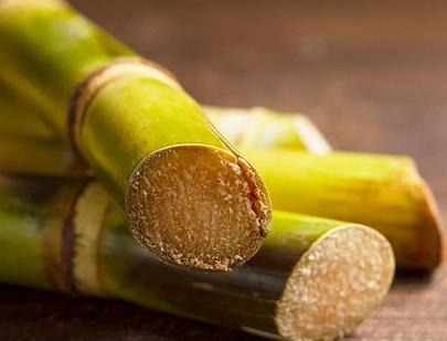 SACCHARUM OFFICINARUM (SUGAR CANE) EXTRACT