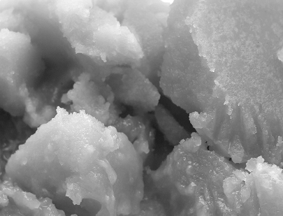 GLYCERYL CAPRYLATE