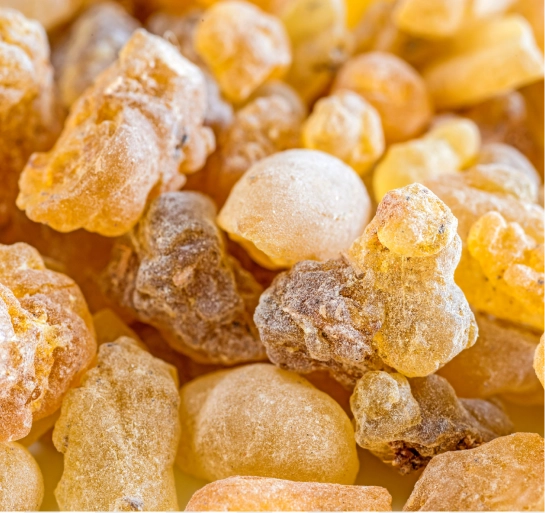 2. Oliban (Boswellia Serrata)