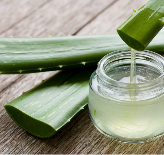 5. Aloe Vera